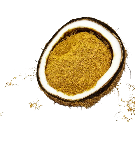 Powder Coconut Sugar
